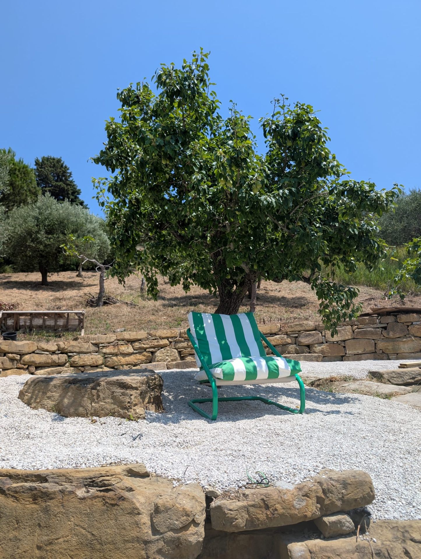 Lounge chair under a fruit tree
